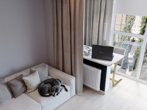 Дизайн интерьера двухкомнатной квартиры в Ульяновске "Квартира "Почти дзен" "